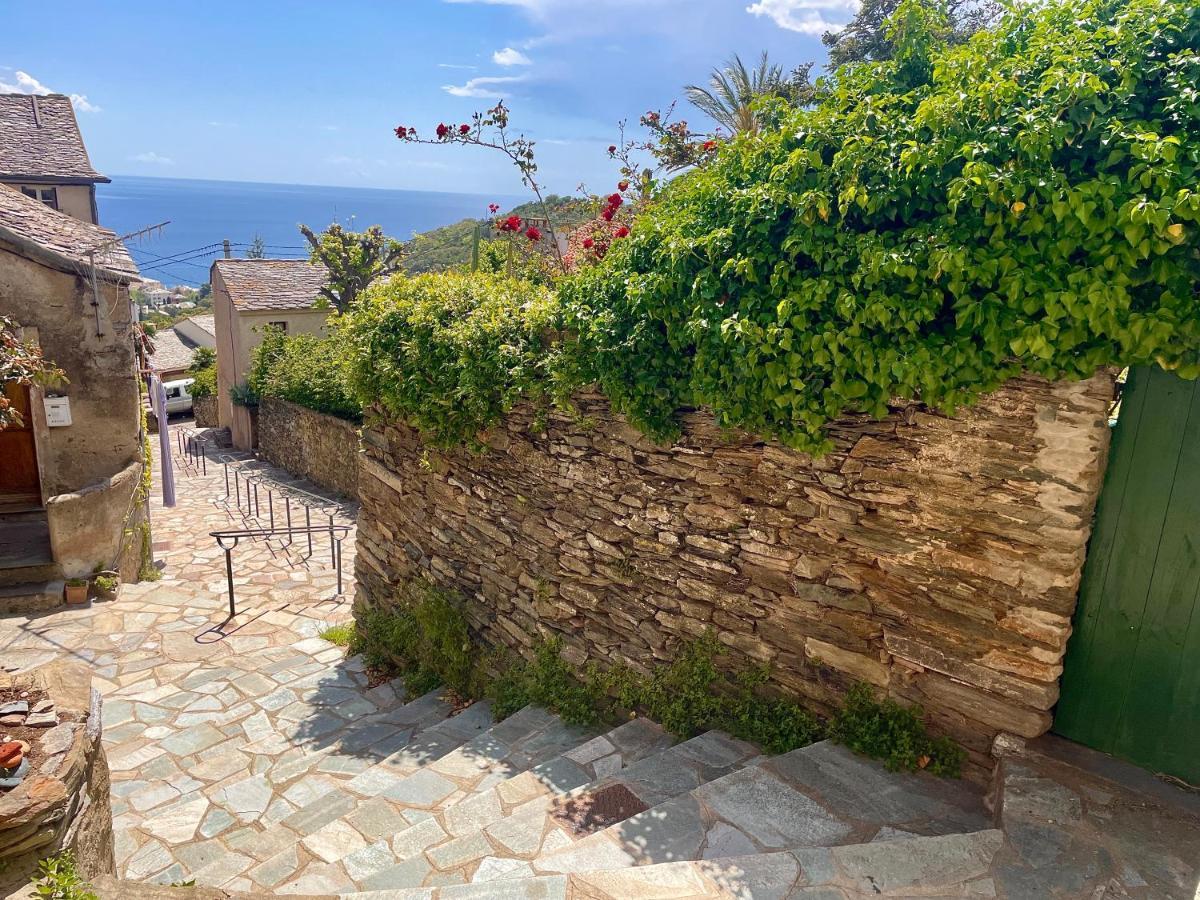 La Casa Poli Un Tiny Loft Au Cap Corse Apartment Brando Bagian luar foto